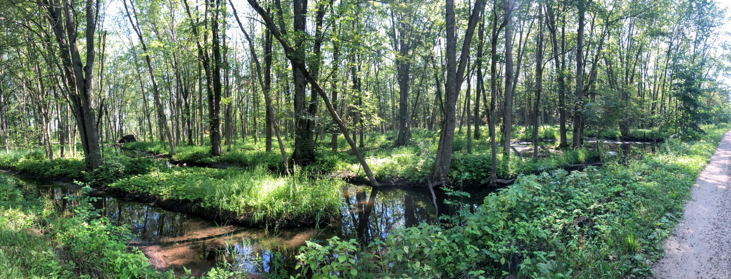 Simcoe County Loop Trail - Hodge Research Area,  Vespra Valley Rd, Minesing, ON L0L 1Y3