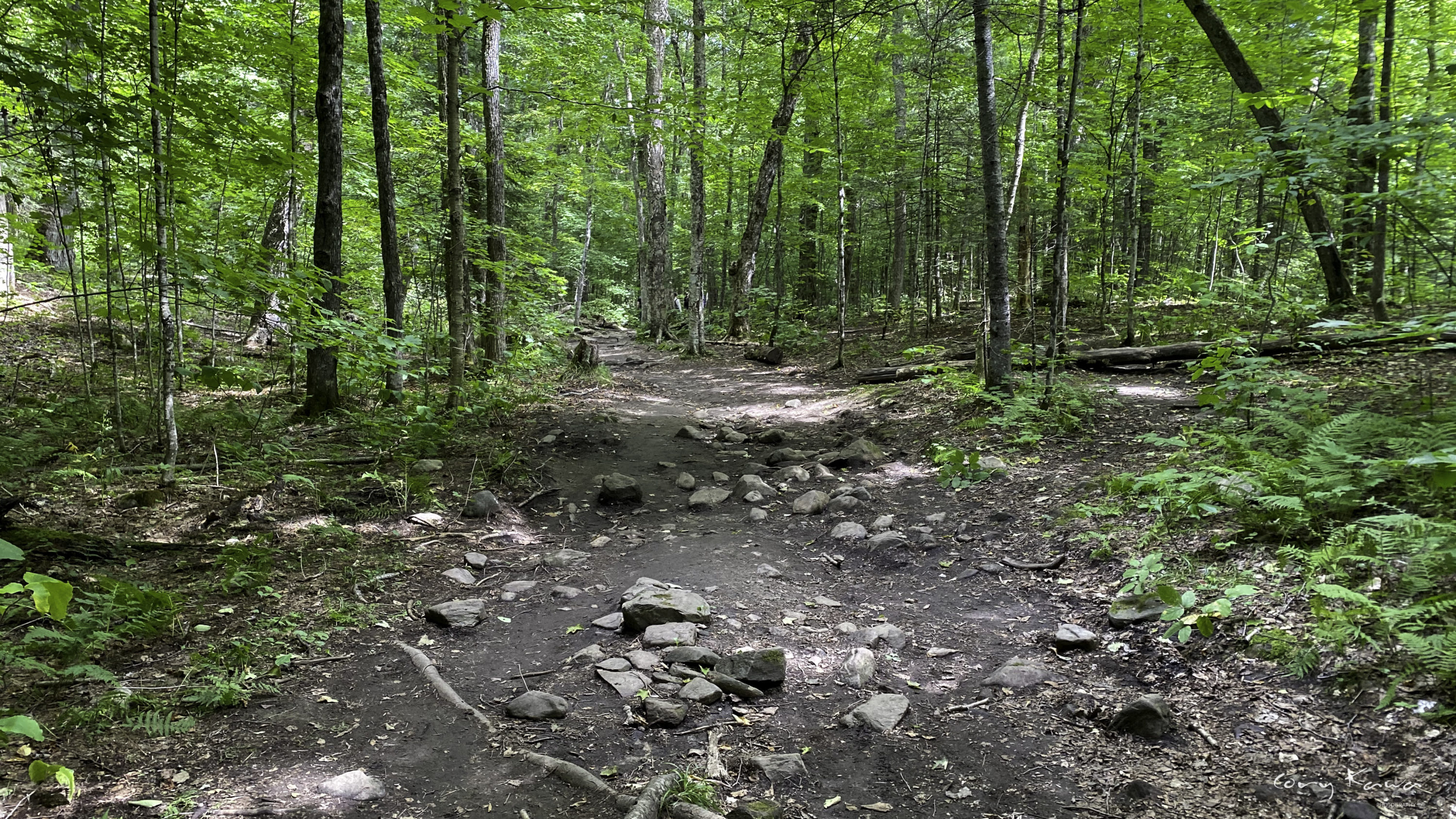 The rocky trail back from Stubbs Falls